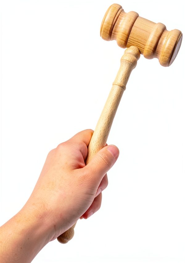 Angoily Wooden Judge Gavel for Courtroom Use-3