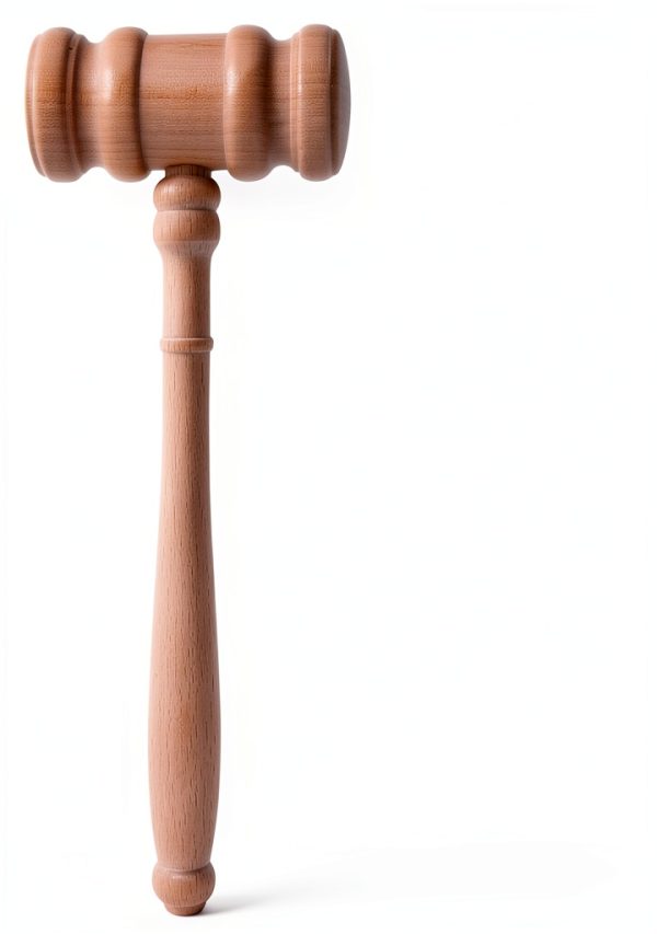 Angoily Wooden Judge Gavel for Courtroom Use-6