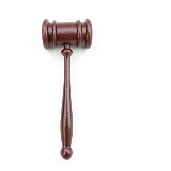 Vaulted Skulls & Co 11-inch Plastic Gavel for Judge Costumes-1