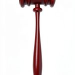 Vaulted Skulls & Co 11-inch Plastic Gavel for Judge Costumes-0